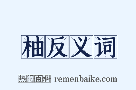 柚反义词是什么意思的图片